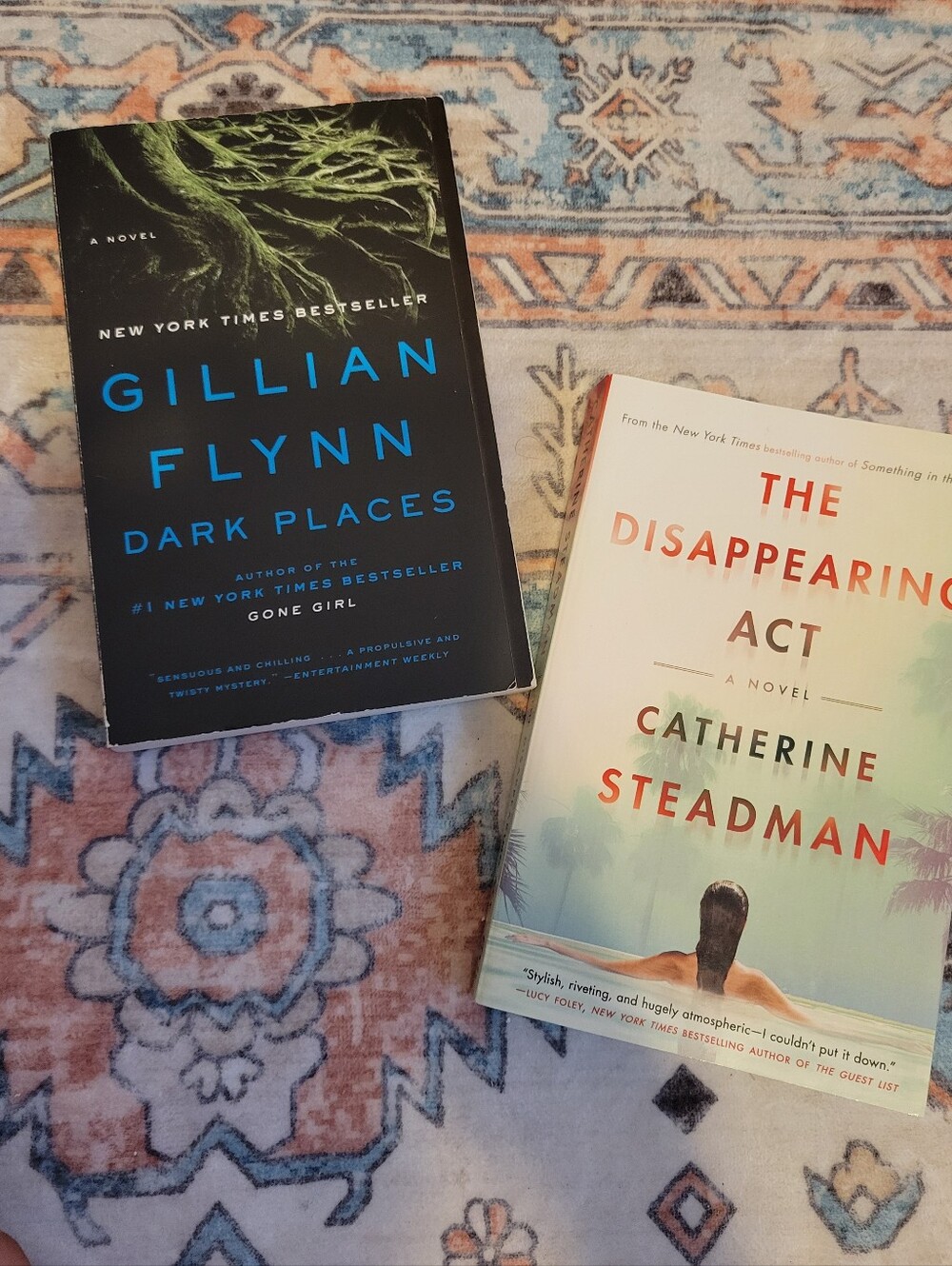 Book Bundle- Dark Places & The Disappearing Act